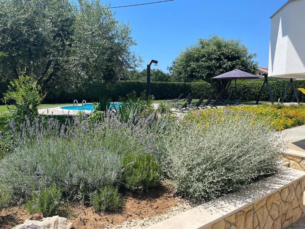 Sunny Apartments Zaton  Croatia